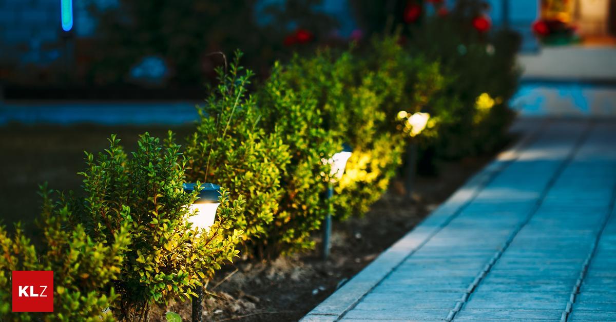 Lichtverschmutzung Mit weniger Licht zu mehr Natur im Garten